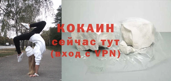 СК Сафоново