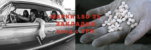 СК Сафоново