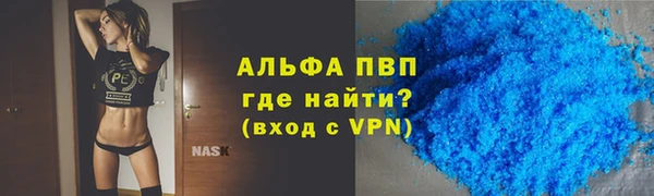 СК Сафоново