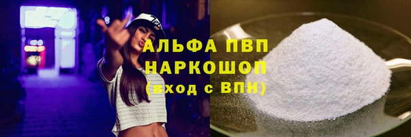 СК Сафоново
