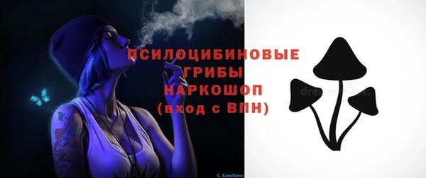 СК Сафоново