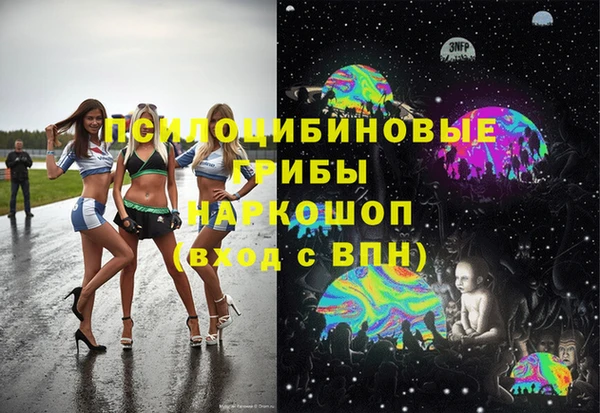 СК Сафоново