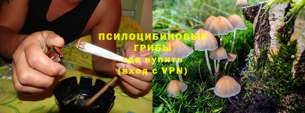 тгк Сатка