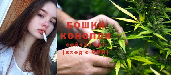тгк Сатка