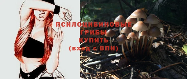 СК Сафоново