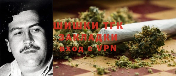 тгк Сатка