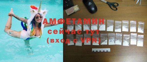 СК Сафоново